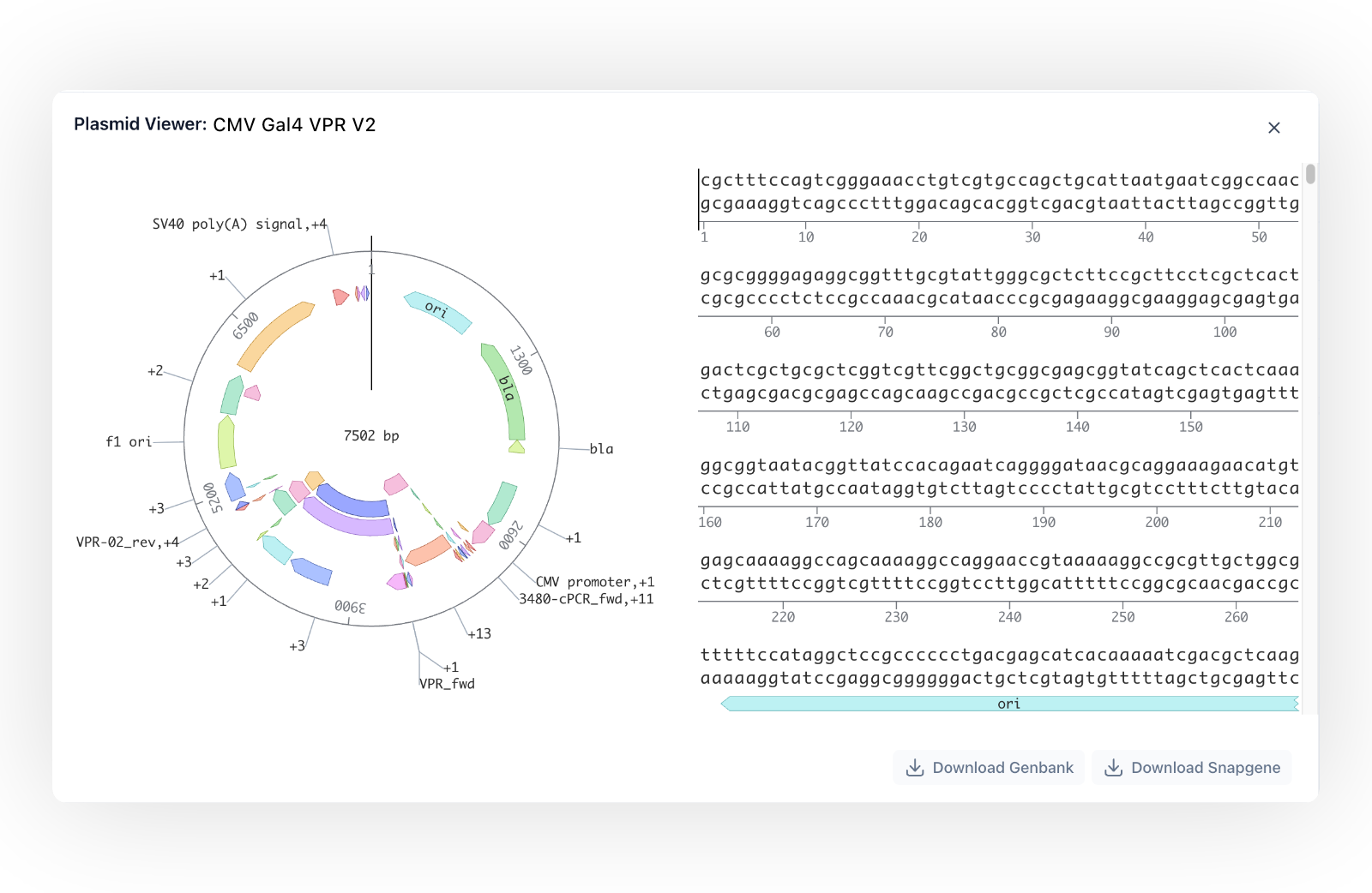 Fully Featured Plasmid Map View