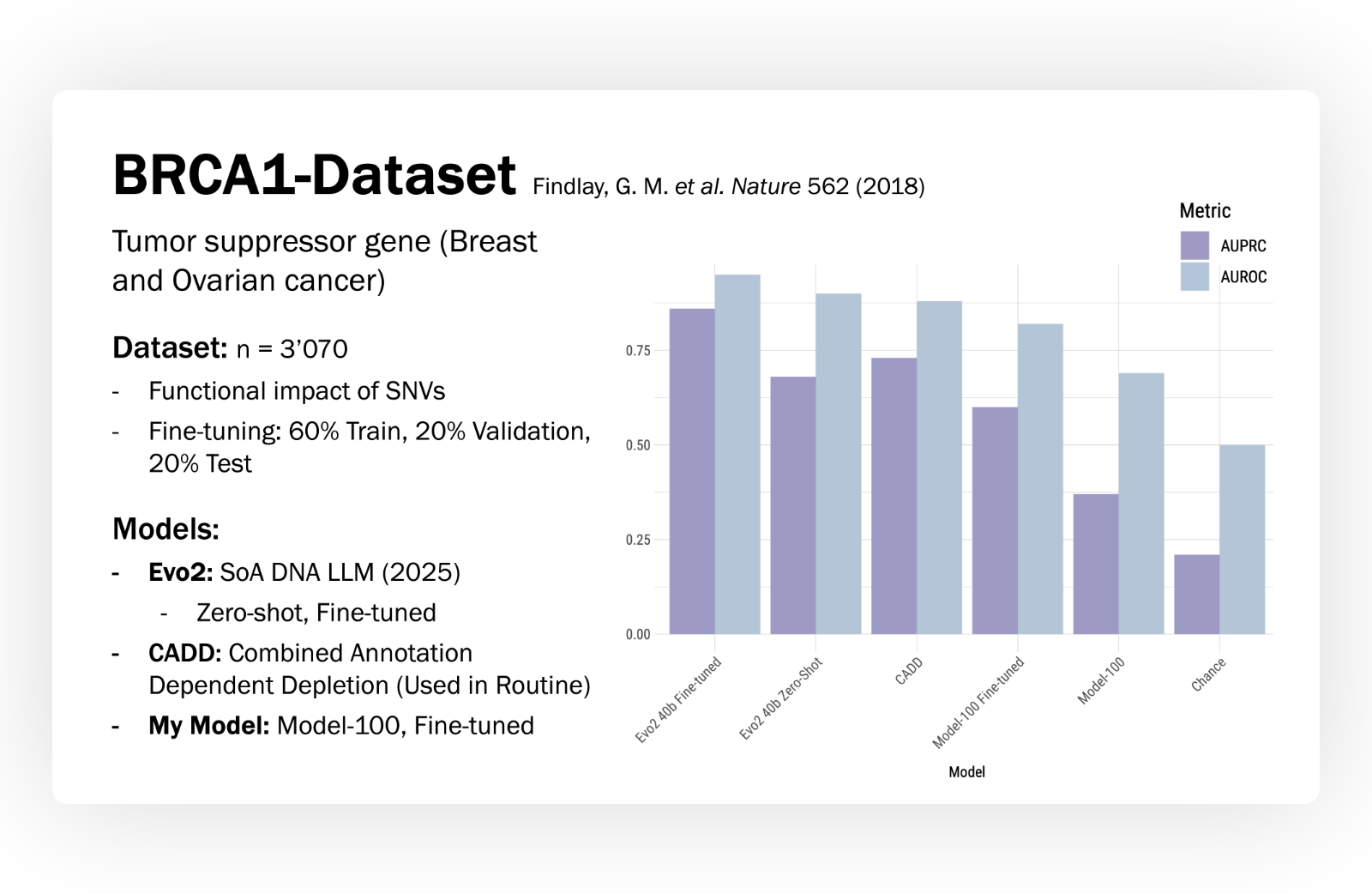 Model Evaluation on BRCA1 Variant Dataset